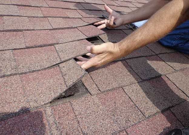 10 Things To Check Between Roof Inspections