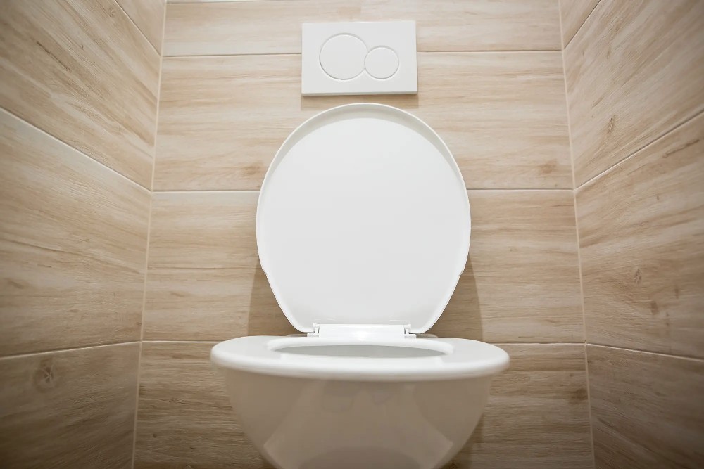 List Of Worst Toilet Brands You Should Check Before Purchase